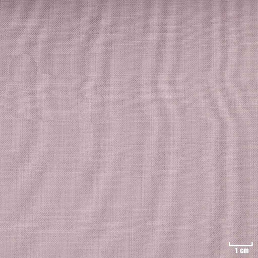 [351836] LIGHT PURPLE, PLAIN