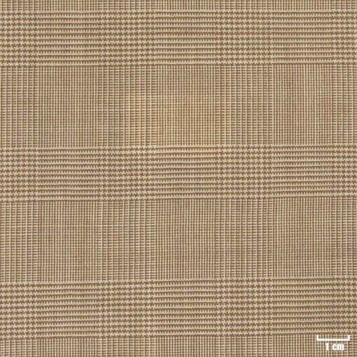 [351906] TAN, CHECKS (ST# 24005)
