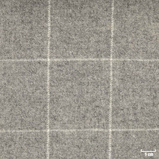 [352015] LIGHT GREY, CHECKS (ST# 22014)