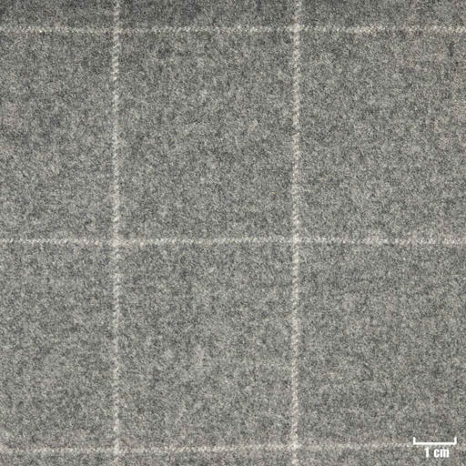 [352016] GREY, CHECKS (ST# 22015)