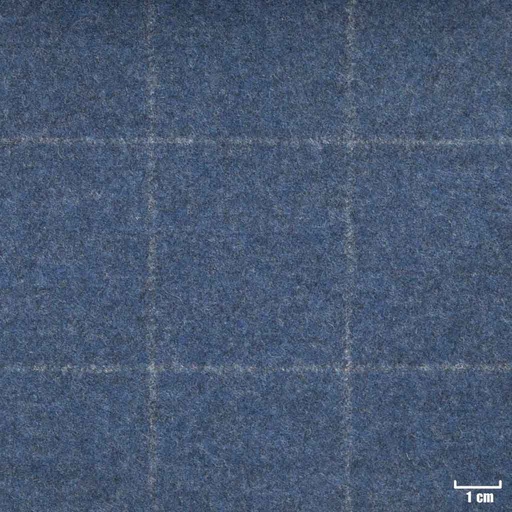 [352020] BLUE, CHECKS (ST# 22019)