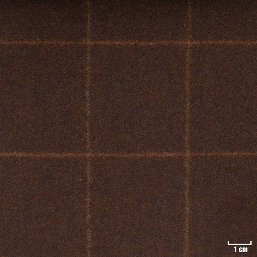 [352022] BROWN, CHECKS (ST# 22021)