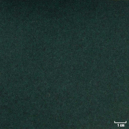 [352057] GREEN, PLAIN (ST# 22056)