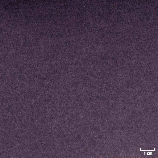 [352061] PURPLE, PLAIN