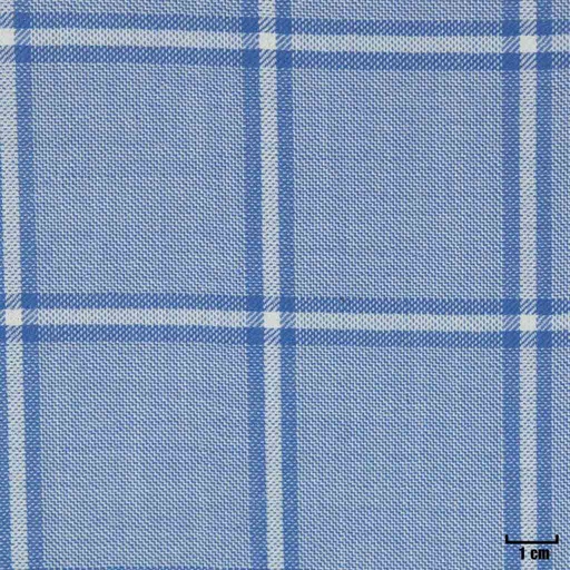 [403201] LIGHT BLUE, CHECKS