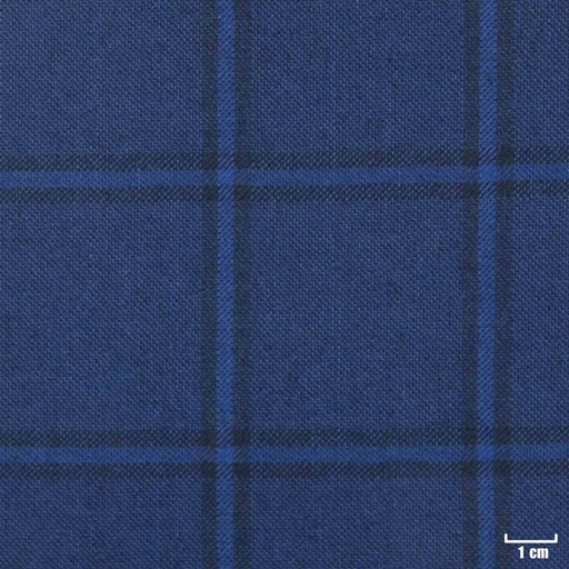 [403946] BLUE, CHECKS