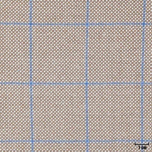 [403206] LIGHT BROWN, BLUE CHECKS