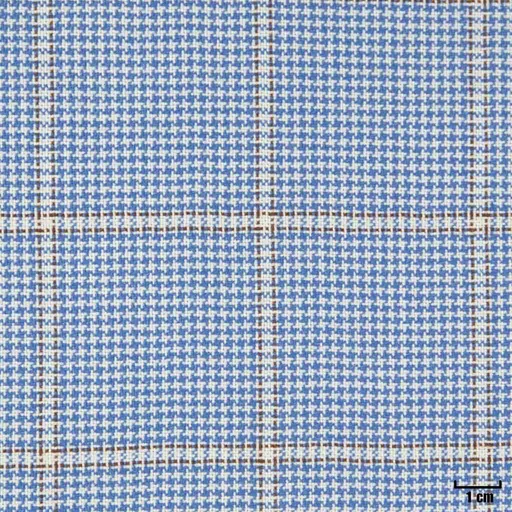 [403216] BLUE, CHECKS