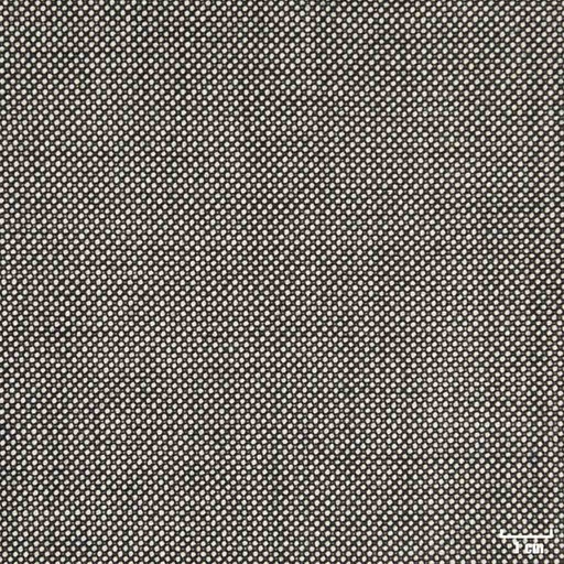 [401923] LIGHT GREY, BIRDEYE