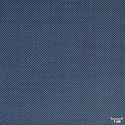 [401926] LIGHT BLUE, BIRDEYE