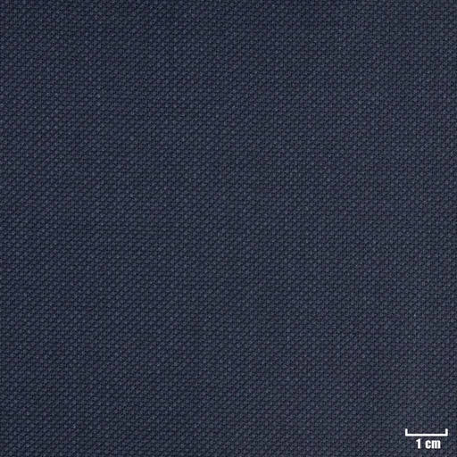 [401928] DARK BLUE, BIRDEYE