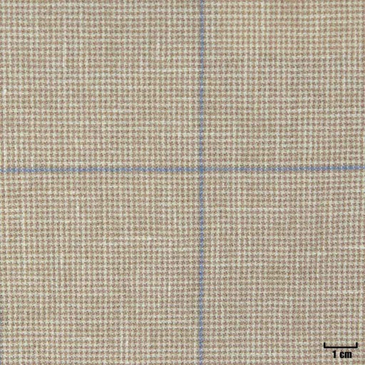 [402102] BEIGE, BLUE CHECKS