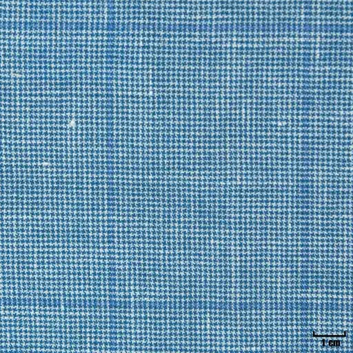 [402103] BLUE, CHECKS