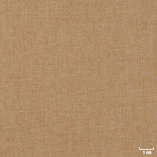 [402913] TAN, PLAIN