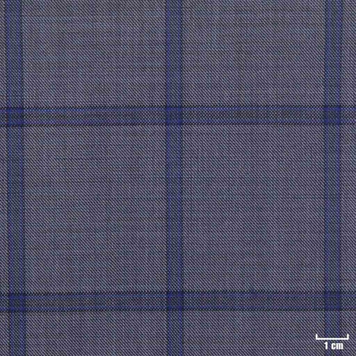 [450219] BLUE, CHECKS