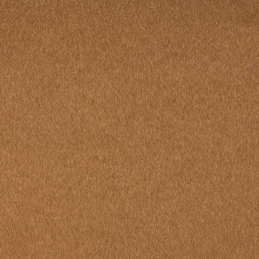 [450430] CAMEL, PLAIN