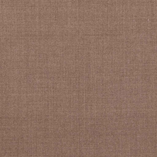 [450526] BROWN, PLAIN