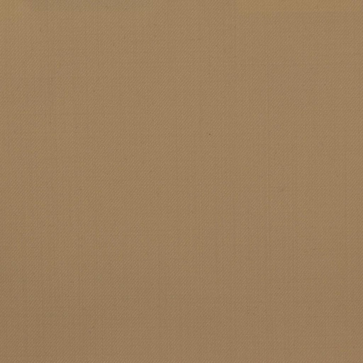 [450604] TAN, PLAIN