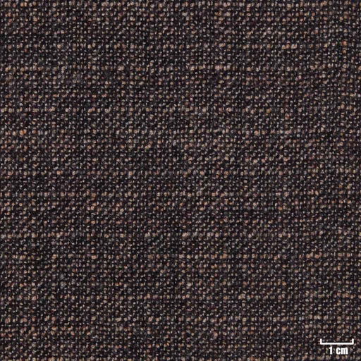 [450715] BROWN, DOTTED PATTERN