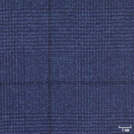 [450729] BLUE, CHECKS