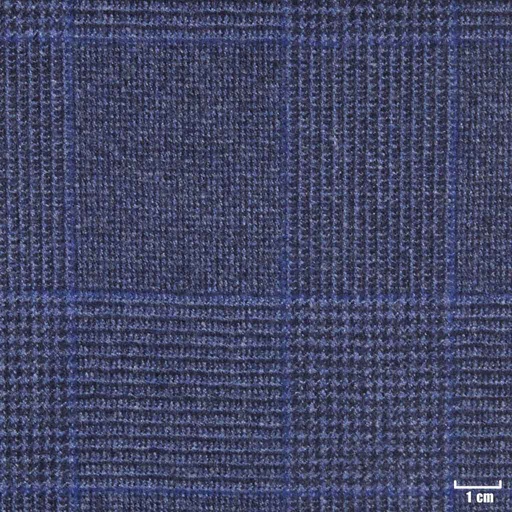 [450731] BLUE, CHECKS