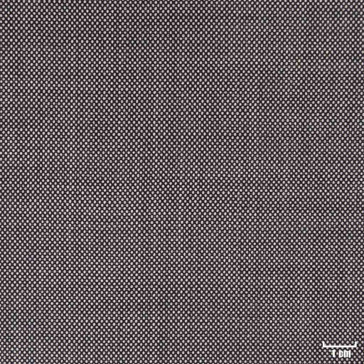 [315861] GREY, BIRDEYE