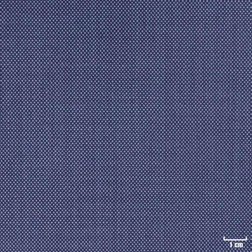 [315863] LIGHT BLUE, BIRDEYE