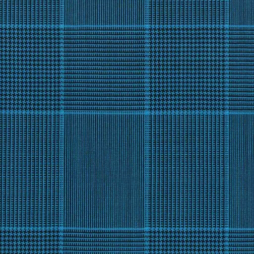 [316816] BLUE, BLUE CHECKS