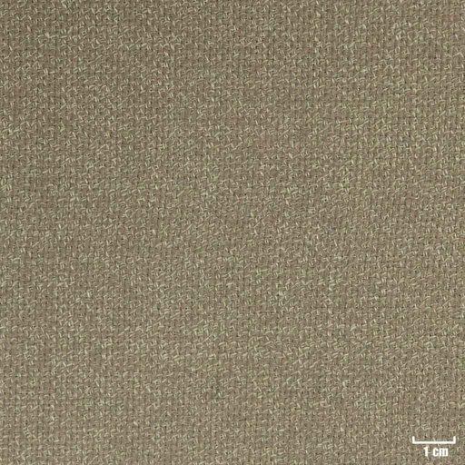 [316019] LIGHT GREEN, PLAIN