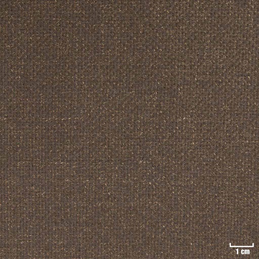 [316021] BROWN, PLAIN