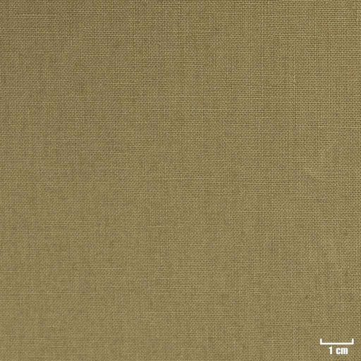 [316029] LIGHT GREEN, PLAIN