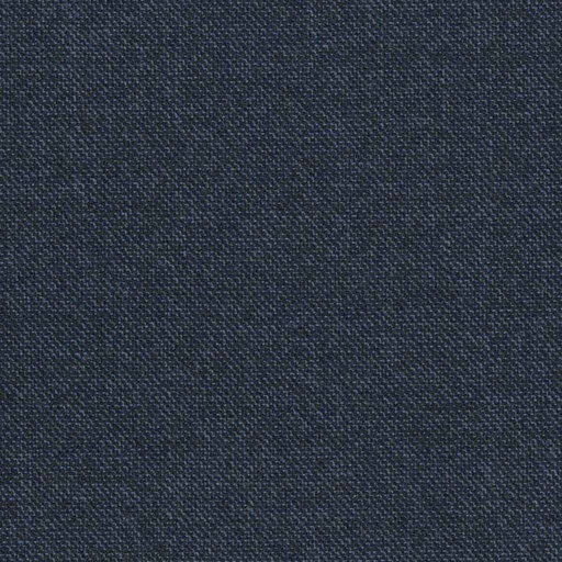 [316521] DARK BLUE, BIRDEYE