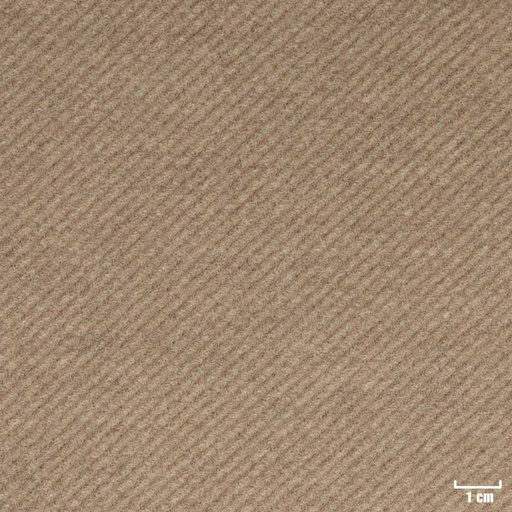 [315419] LIGHT BROWN, TWILL