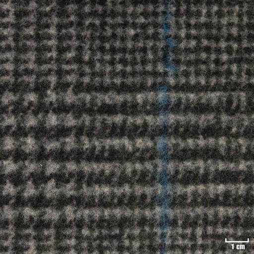 [315431] GREY, BIG BLUE CHECKS