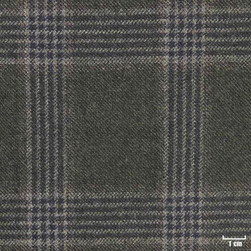 [315710] OLIVE, CHECKS