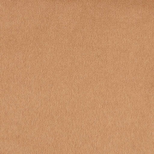 [403612] CAMEL, PLAIN