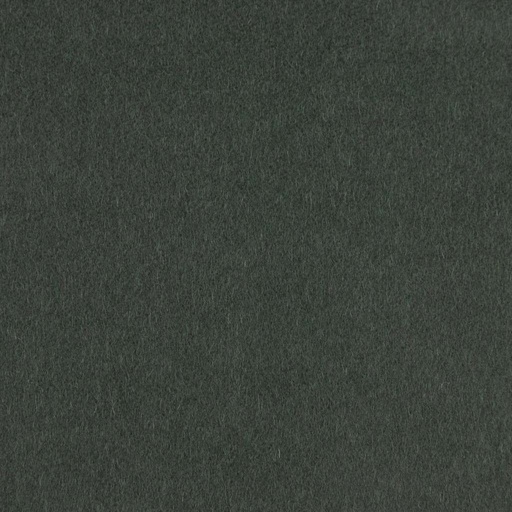 [403615] OLIVE, PLAIN