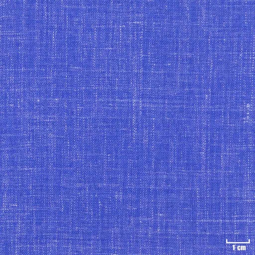 [403829] BLUE, PLAIN
