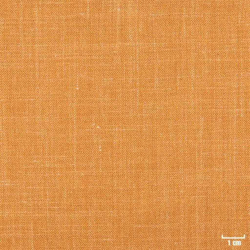 [403840] CAMEL, PLAIN