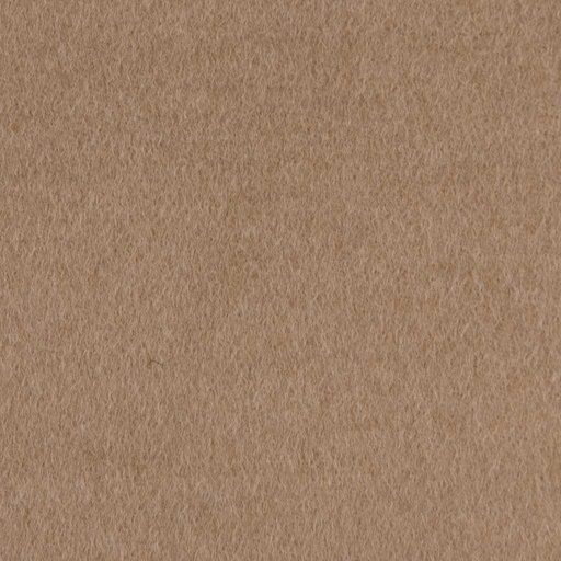 [403623] CAMEL, PLAIN