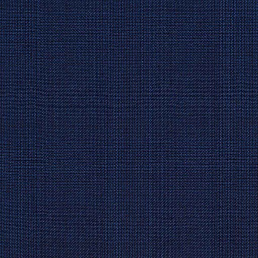 [404110] BLUE, CHECKS