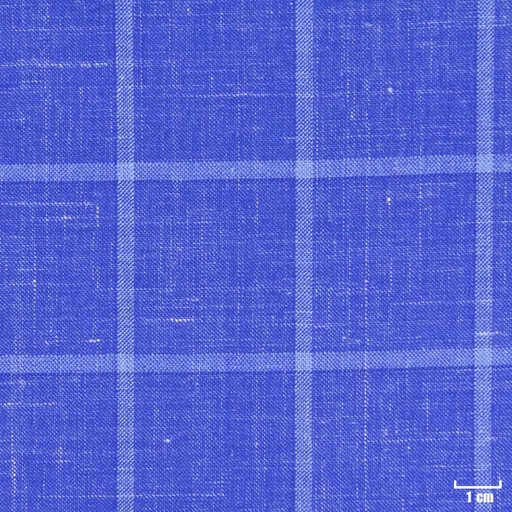[403805] BLUE, BIG CHECKS