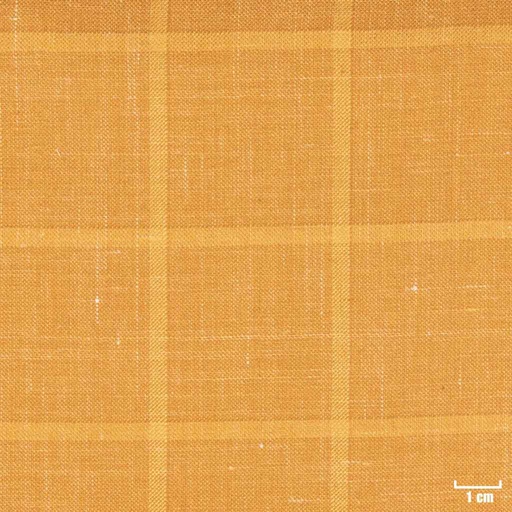 [403808] CAMEL, BIG CHECKS