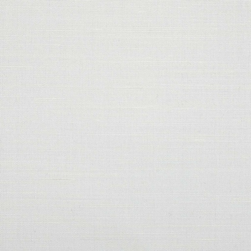 [404528] OFF WHITE, PLAIN