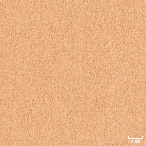 [404406] KHAKI, PLAIN