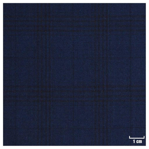 [404004] BLUE, CHECKS