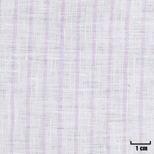 [H11315] WHITE, PURPLE STRIPES