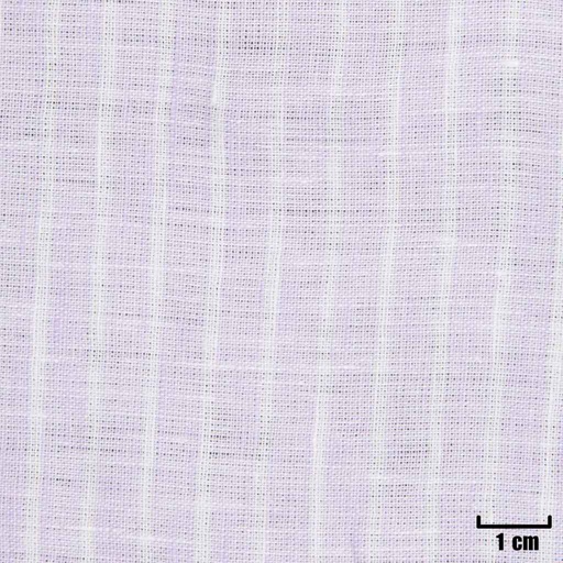 [H11317] PURPLE, WHITE STRIPES