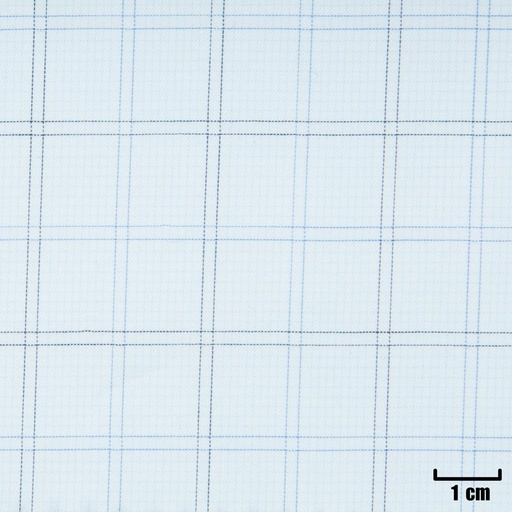 [H11290] WHITE, BLUE CHECKS