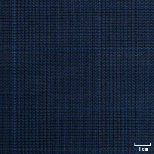 [223334] BLUE, BLUE CHECKS